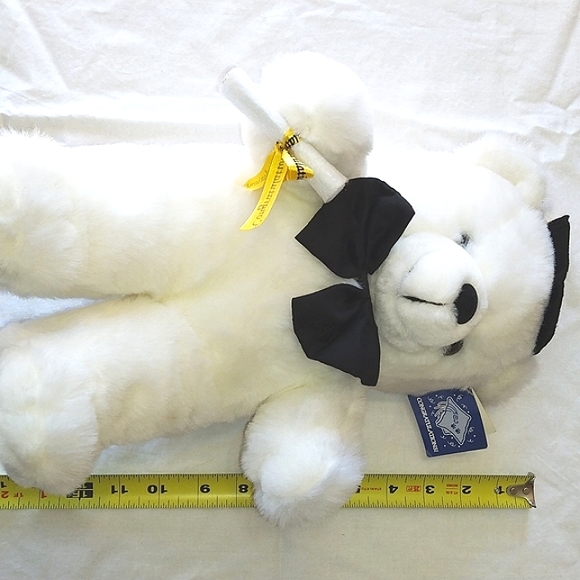 NWOT Preferred Plush Graduation bear plushie. - Picture 7 of 7